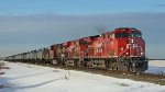 CP 8101